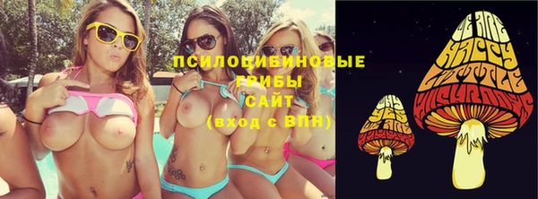 дурь Алексин