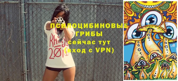 дурь Алексин